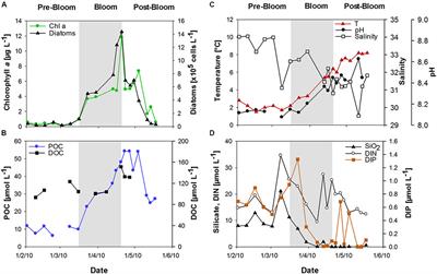 Combined Carbohydrates Support Rich Communities of Particle-Associated Marine Bacterioplankton